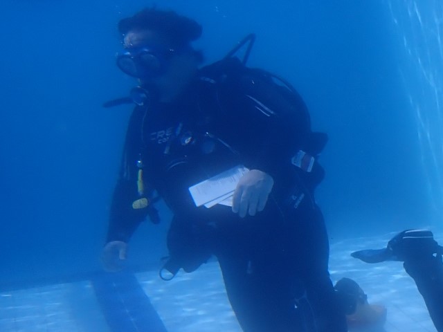serviceImage