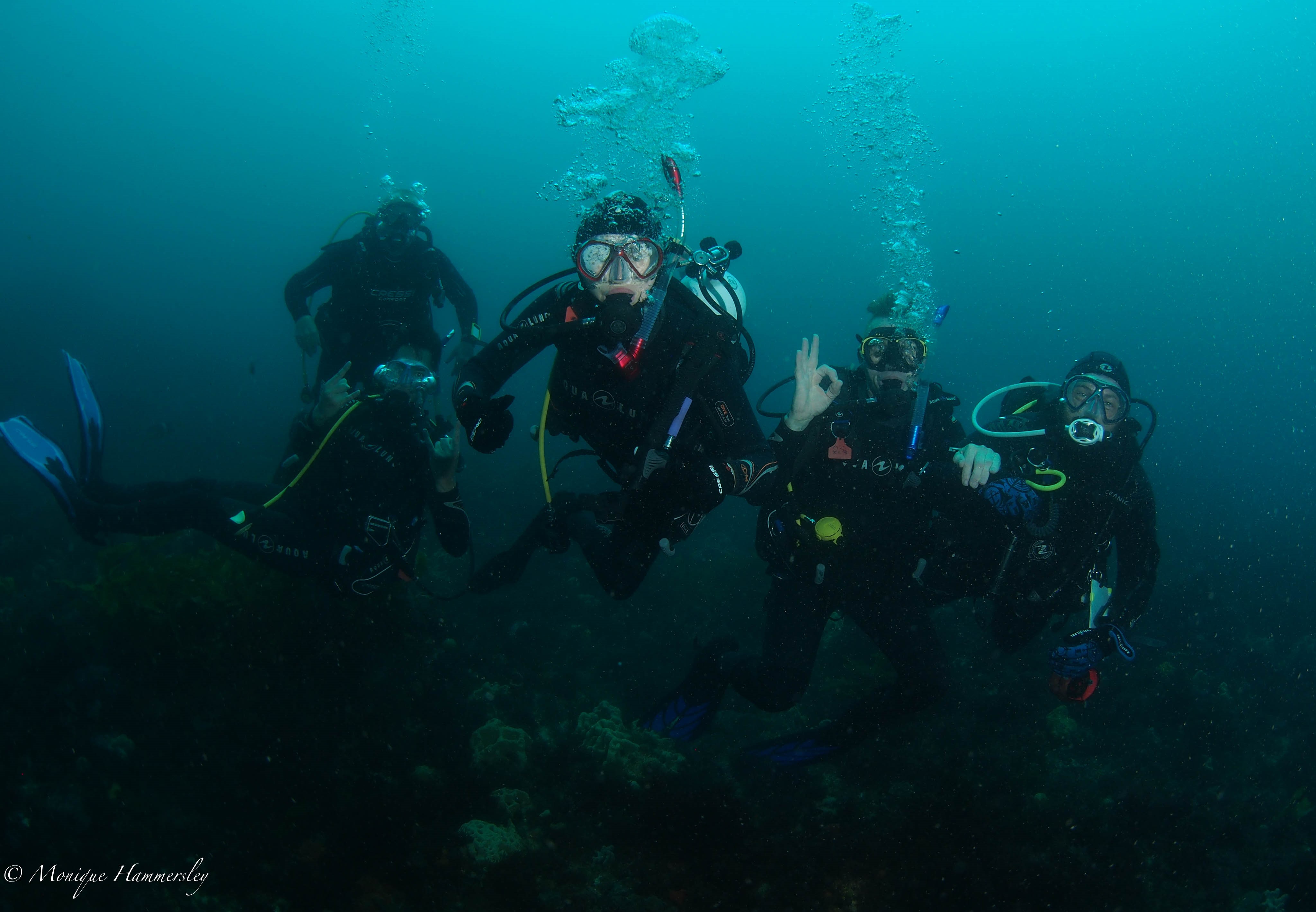 Learn to Scuba Dive with Diveline PADI Open Water courses